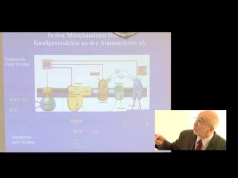 1/3:Prof.Gellerich:Gestörte Mitochondrienfunktion bei...Parkinson,Huntington,Sepsis,Ischämie,CPEO
